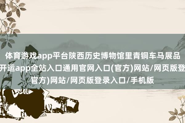 体育游戏app平台陕西历史博物馆里青铜车马展品前围满了旅客-开运app全站入口通用官网入口(官方)网站/网页版登录入口/手机版