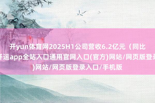 开yun体育网2025H1公司营收6.2亿元（同比增长28%）-开运app全站入口通用官网入口(官方)网站/网页版登录入口/手机版