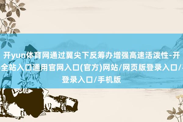开yun体育网通过翼尖下反筹办增强高速活泼性-开运app全站入口通用官网入口(官方)网站/网页版登录入口/手机版